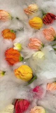 唯美清新花朵手机壁纸