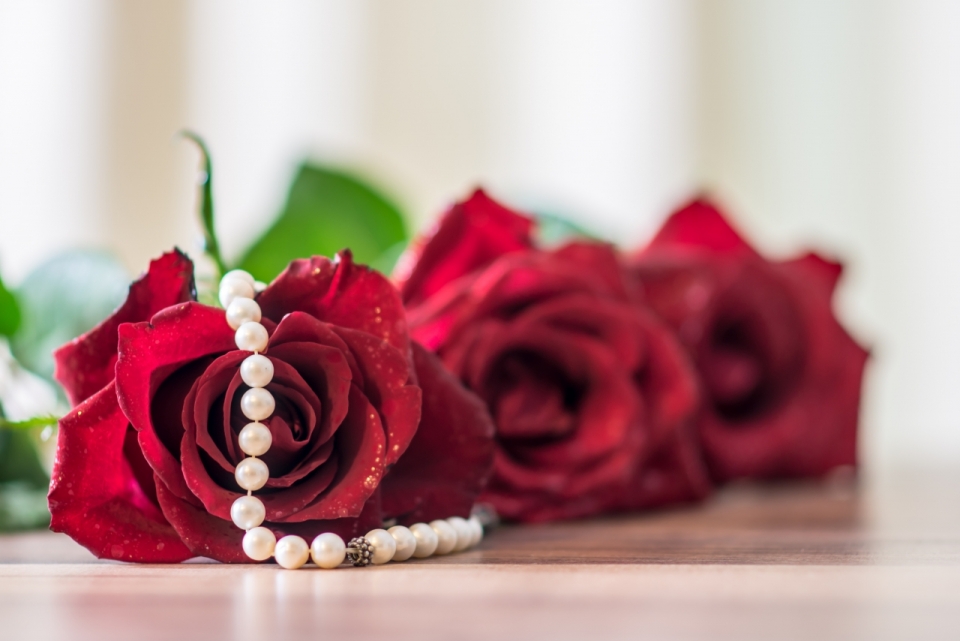 虚化背景室内木制桌面红色花朵玫瑰植物