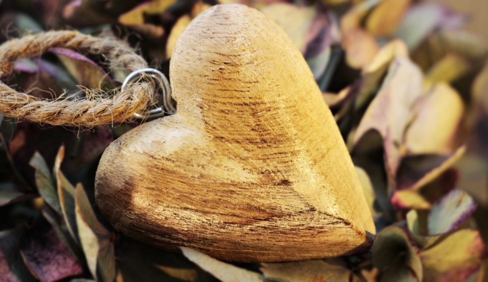 落叶堆上心形的木头雕刻静物摄影