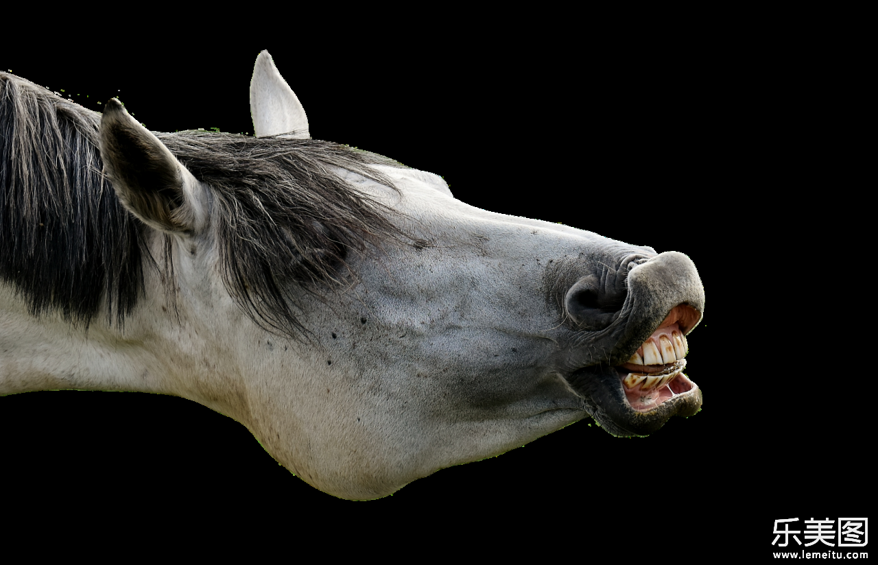 一只露出牙齿一脸愁怅的马