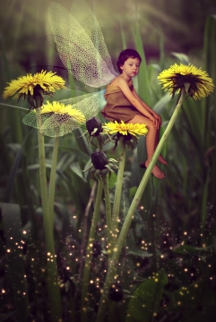 小黄花上坐着的长着翅膀的小男孩