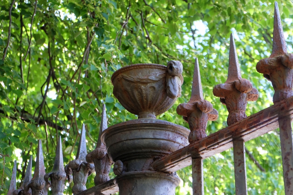 城市街道自然植物前金属栏杆艺术雕刻
