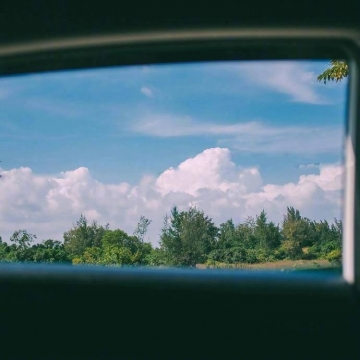 唯美清新绿色风光图片