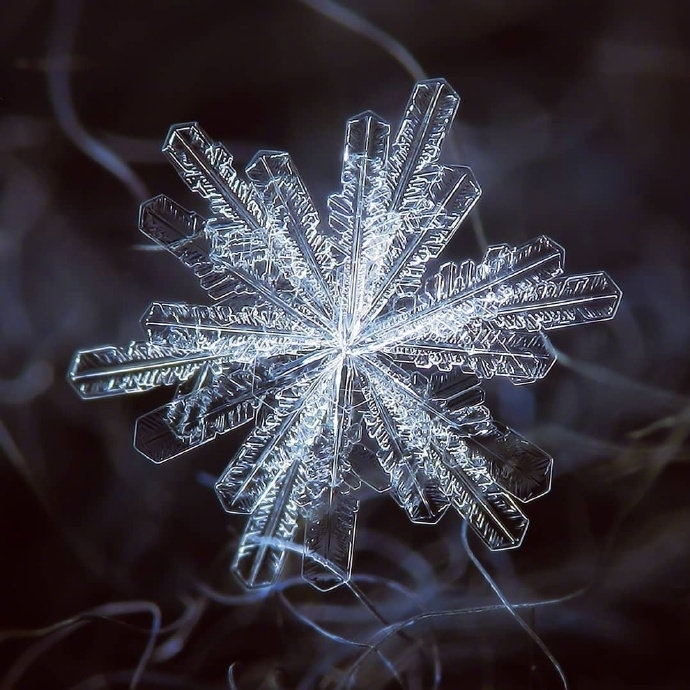 微镜头下的雪花图片