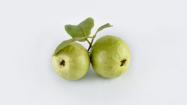 绿色芭乐护眼高清桌面壁纸