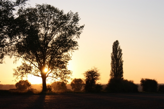 风光摄影_夕阳落下金色阳光照耀自然风光