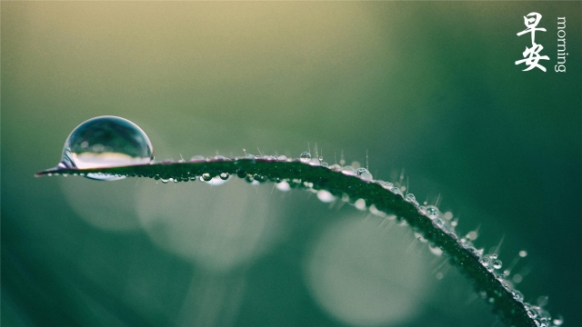 小清新唯美早安高清桌面壁纸