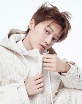 刘雨昕DIOR圣诞写真图片