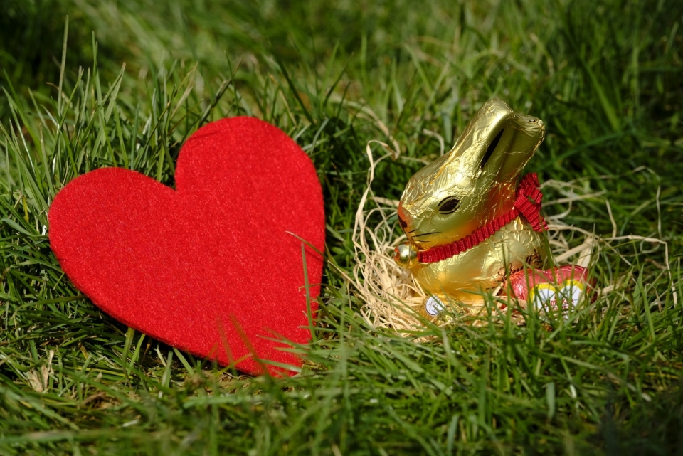 户外自然草坪红色心形金色兔子装饰