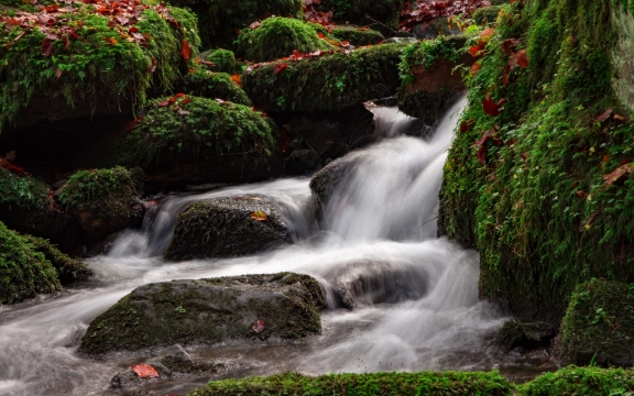 绿色树林间白色流水小溪自然美景