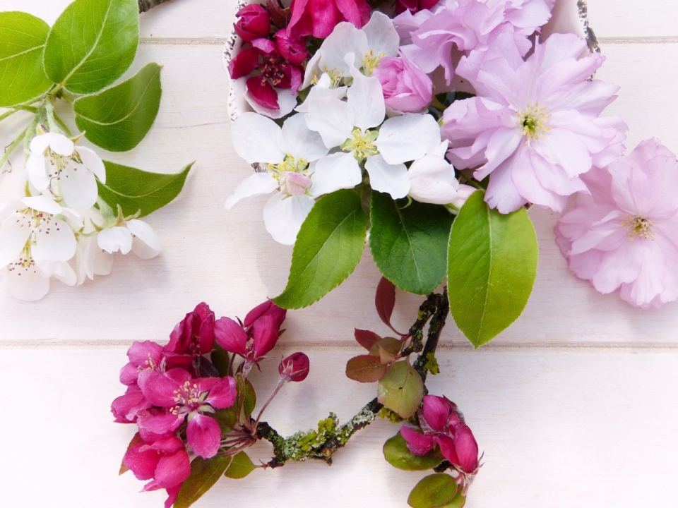 木制桌面清新自然白色紫色花朵绿叶植物