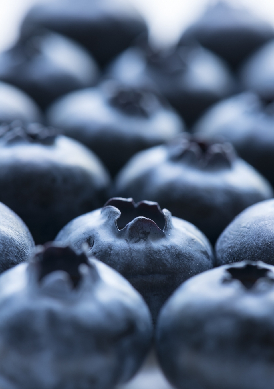 白色背景新鲜美味紫色蓝莓水果