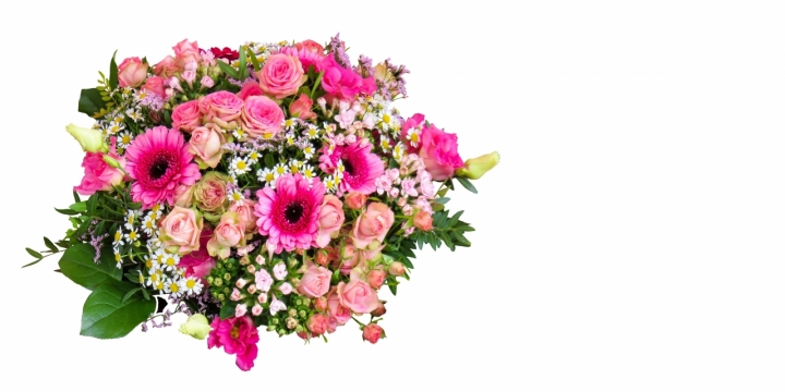 白色背景粉色鲜艳花朵自然浪漫花束