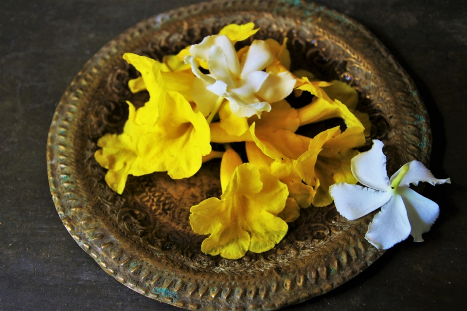 木制桌子盘子中黄色白色自然花朵