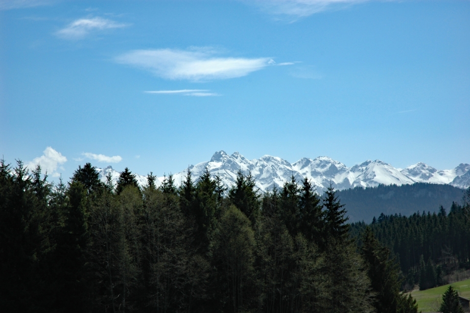 蓝色天空雪山自然绿色树林