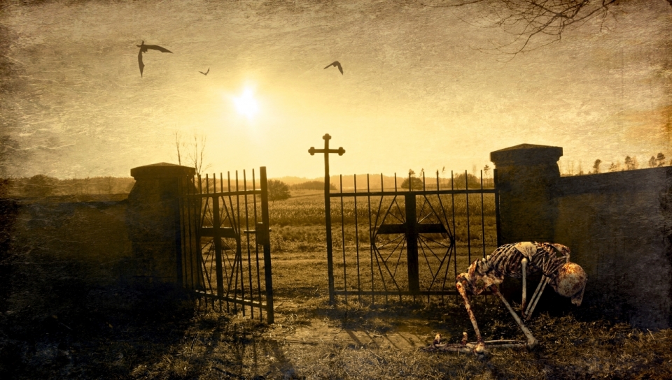 夕阳平原墓地大门围栏旁的骷髅