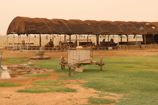 农场大棚餐厅自然风光美拍