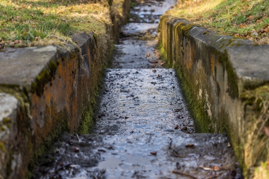 雨后台阶边排水渠植物小草旅拍