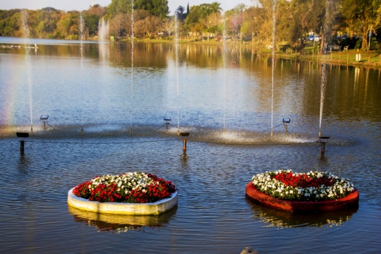 池水喷泉花坛红色花朵鲜艳美拍