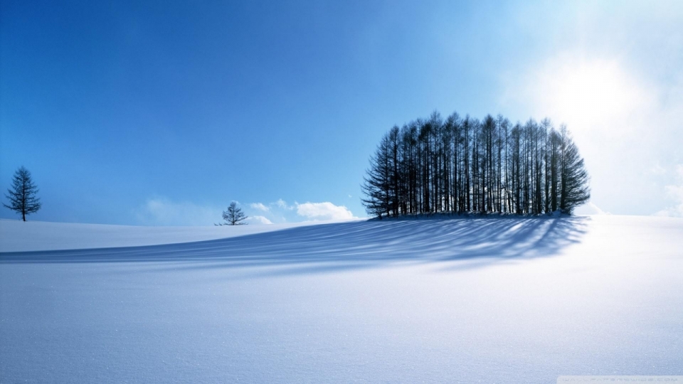 清新唯美冬日雪景高清桌面壁纸