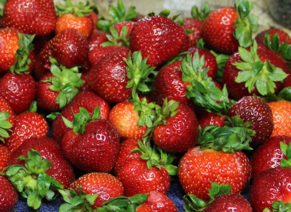 堆在一起的新鲜成熟草莓水果摄影