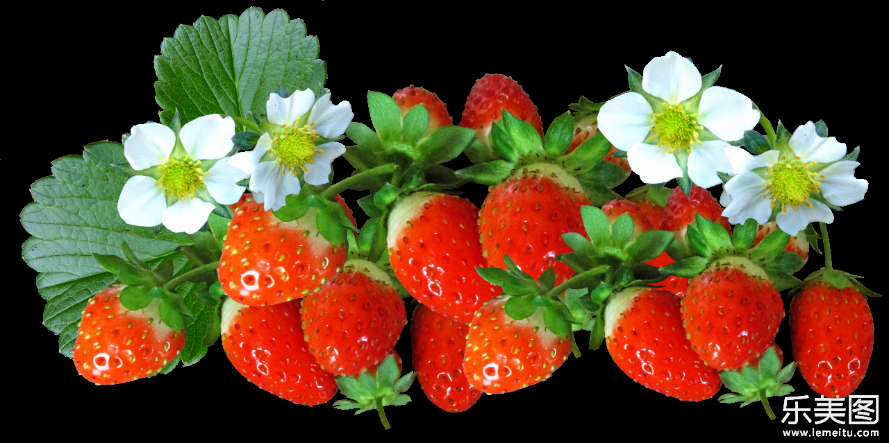 绿色叶子白色花朵红色新鲜美味草莓