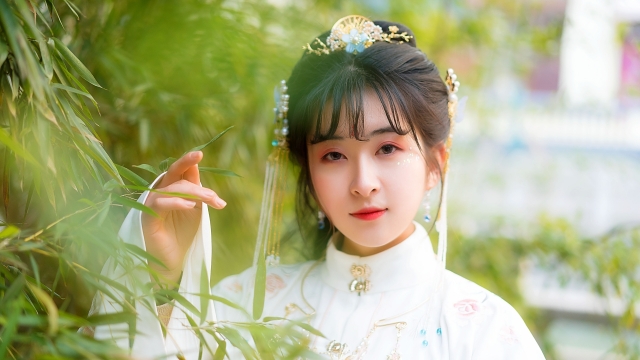 古风钗环流苏汉服美少女