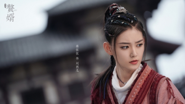 电视剧赘婿演员名单图片