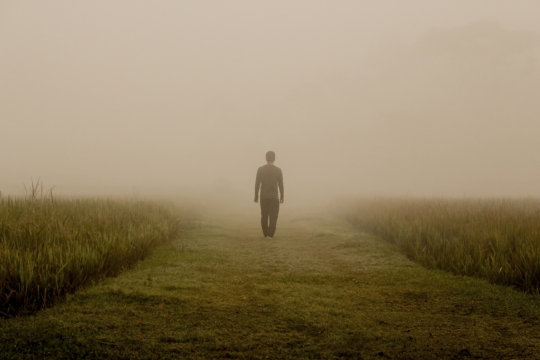 清晨雾气缭绕草地上朦胧人影