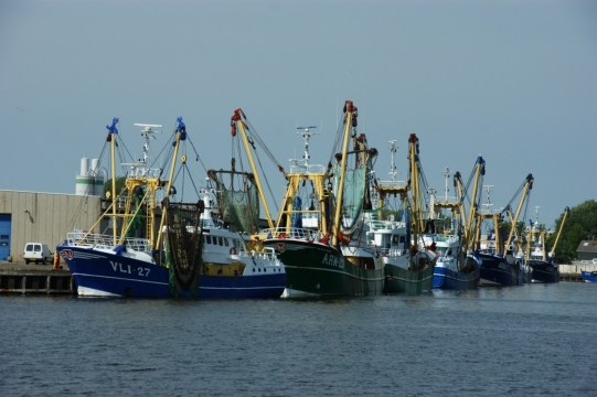 早晨大海海面运输货物船只