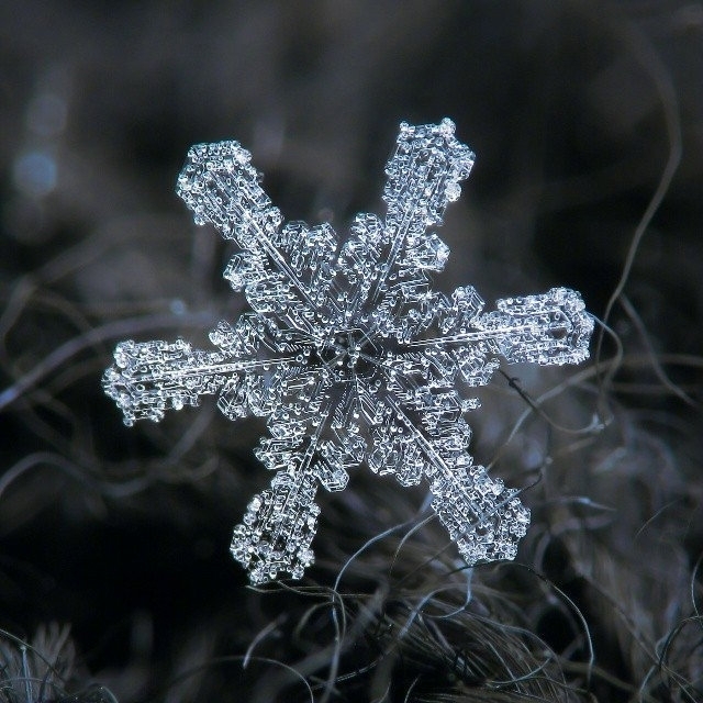 微镜头下的雪花图片