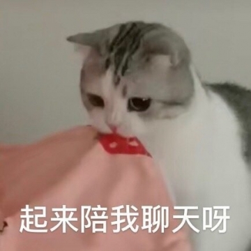 幽默搞笑傻屌表情包图片