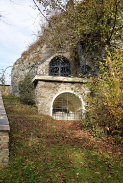 秋天落满秋叶的草地和小山坡风光