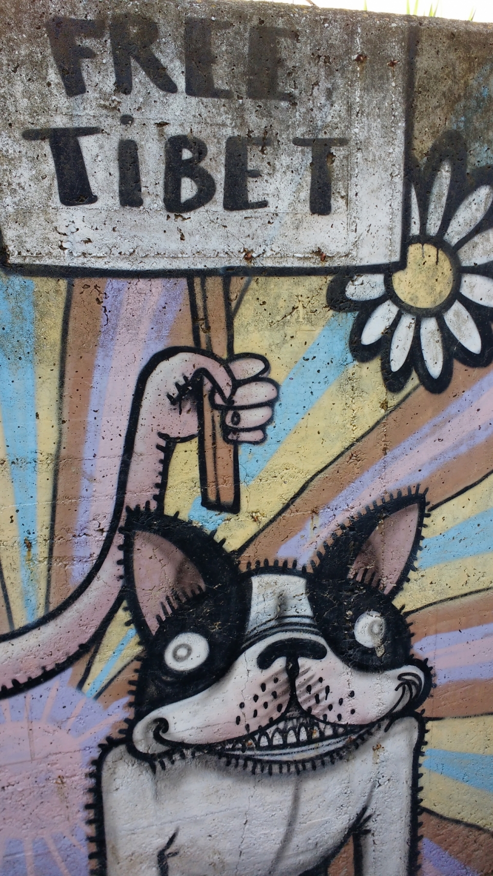路边墙上告示牌和小狗的创意涂鸦摄影