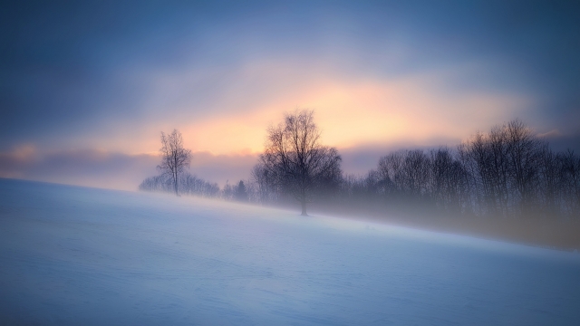 清晨雪山树林朦胧风光美景