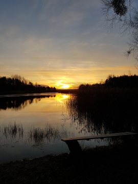 夕阳笼罩河边芦苇荡倒影风景