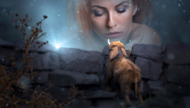 奇幻户外大象看夜晚发光天空女性肖像