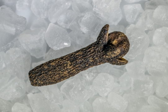 简约白色冰糖上自然木子雕刻装饰