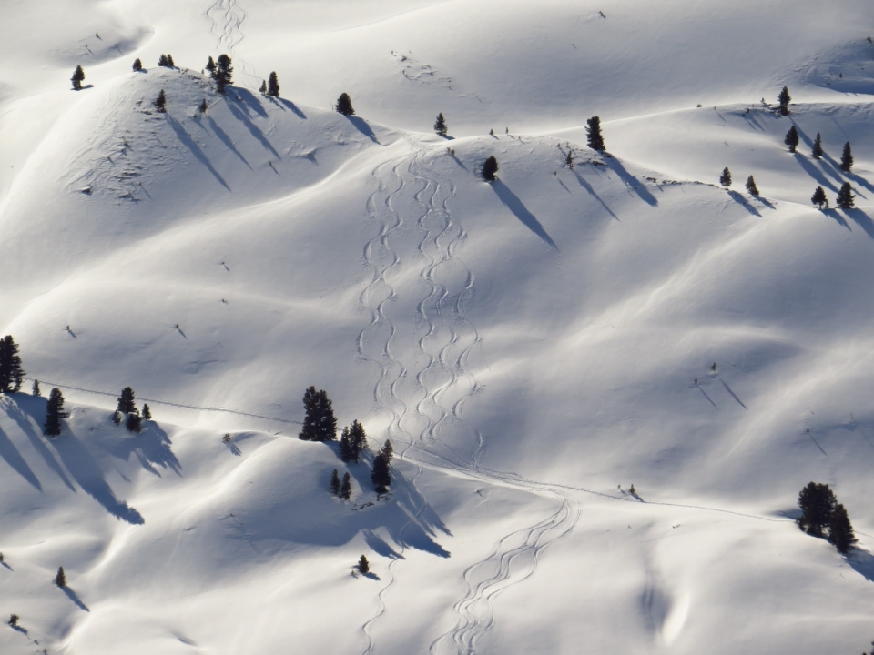 白色雪地滑雪痕迹摄影