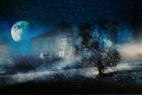 月夜星空房屋松柏光斑梦幻设计