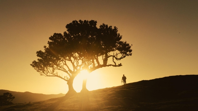 暮色苍茫的黄昏高清桌面壁纸