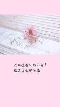 唯美爱情观手机壁纸