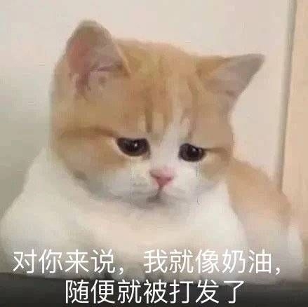 火猫三丈沙雕表情包图片