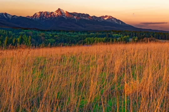 夕阳覆盖广袤森林草原自然风光