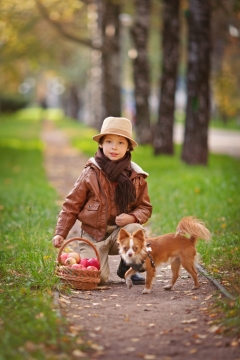 公园中拿着果篮与宠物狗嬉戏的孩子