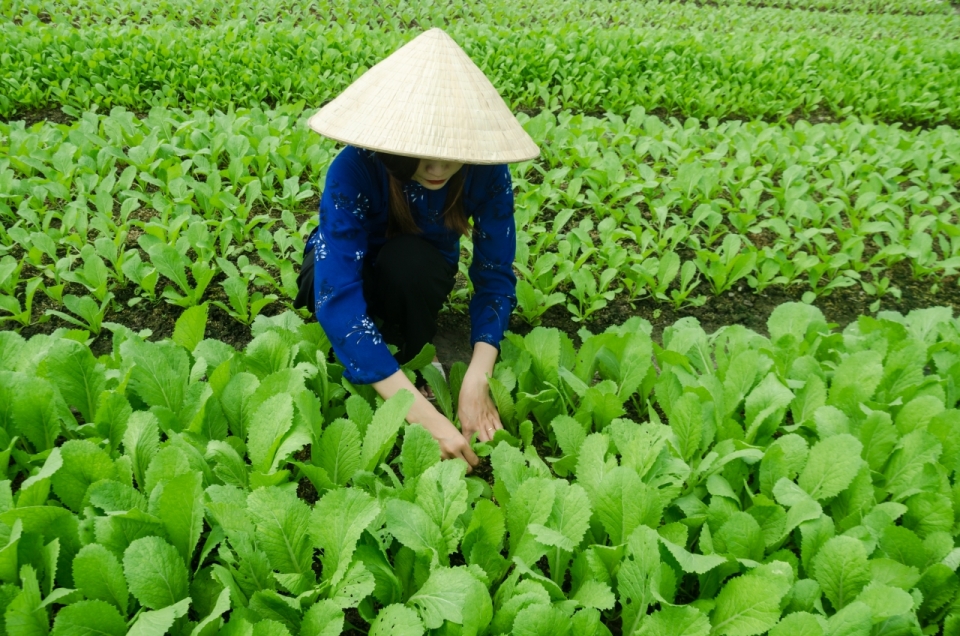 人物摄影_碧绿菜园中忙碌少女特写