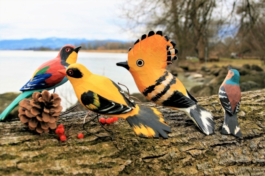 城市街道湖泊边树干彩色鹦鹉装饰模型