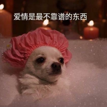 幽默搞笑表情包图片