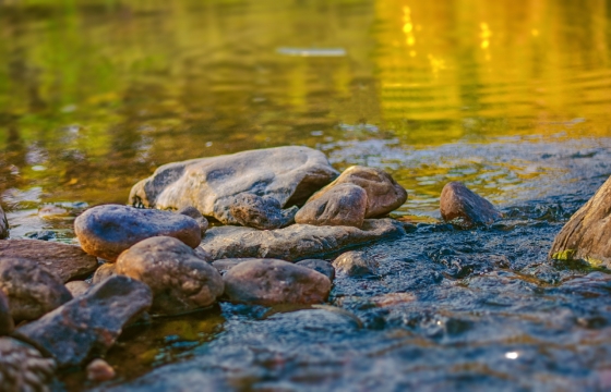 阳光户外自然湖泊间岩石