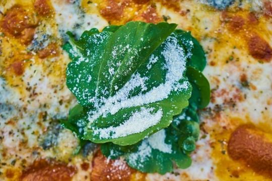 美味诱人蔬菜烤饼美食特写